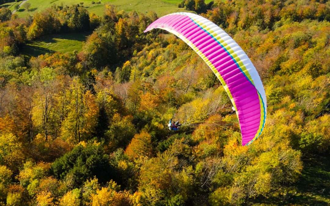 Vivo – #freerider – Interview Stephan Stieglair