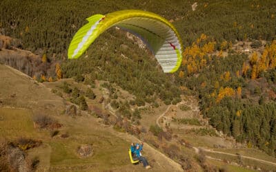 Eazy 4: tu pasaporte hacia la libertad